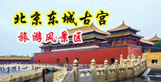 日韩日B一级黄片中国北京-东城古宫旅游风景区
